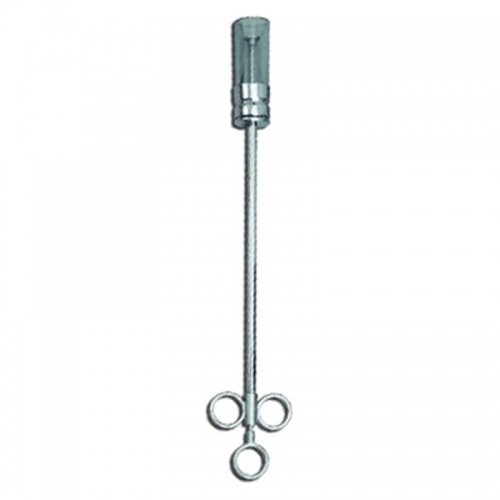 LIVESTOCK AND IDENTIFICATION