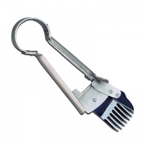 LIVESTOCK AND IDENTIFICATION