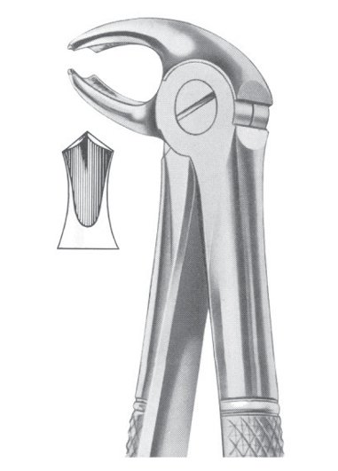 FIG. 23 LOWER MOLARS RIGHT