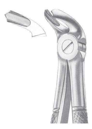 FIG. 40 LOWER MOLARS FOR CHILDREN
