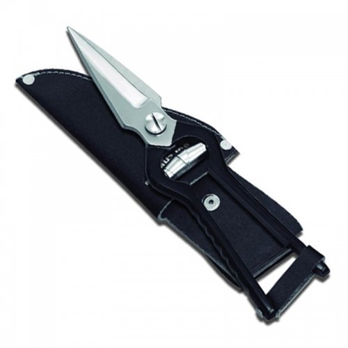 LIVESTOCK AND IDENTIFICATION