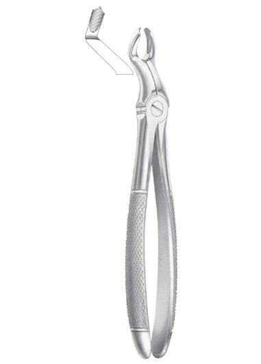 Fig. 67 ½R upper third molars right