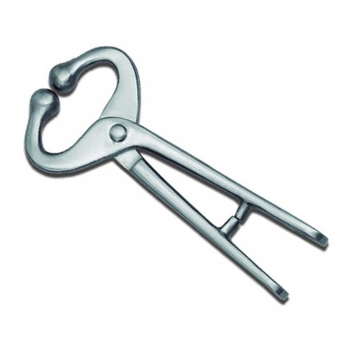 LIVESTOCK AND IDENTIFICATION