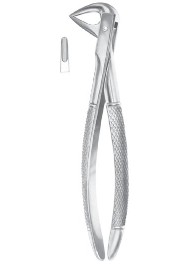 Fig. 74M lower roots