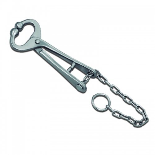 LIVESTOCK AND IDENTIFICATION