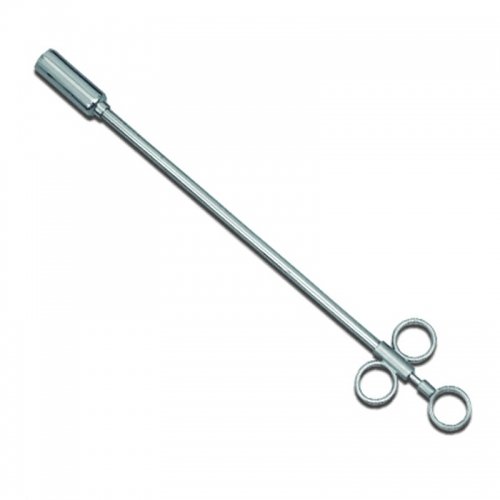 LIVESTOCK AND IDENTIFICATION