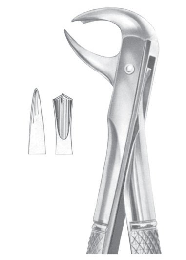 Fig. 99 ½ lower molars